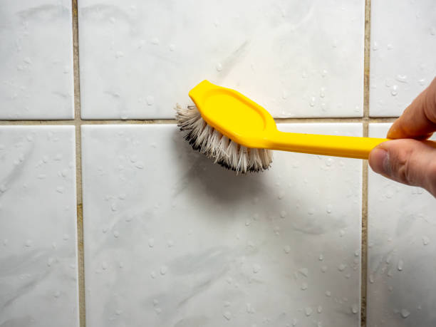 Best Office Mold Removal Services  in Winona, MN